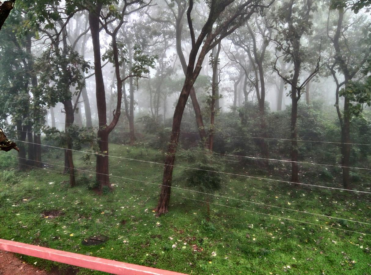 Wild Window - Forest View Homestay Thekkady Exteriér fotografie