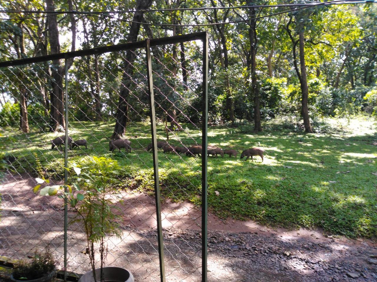 Wild Window - Forest View Homestay Thekkady Exteriér fotografie
