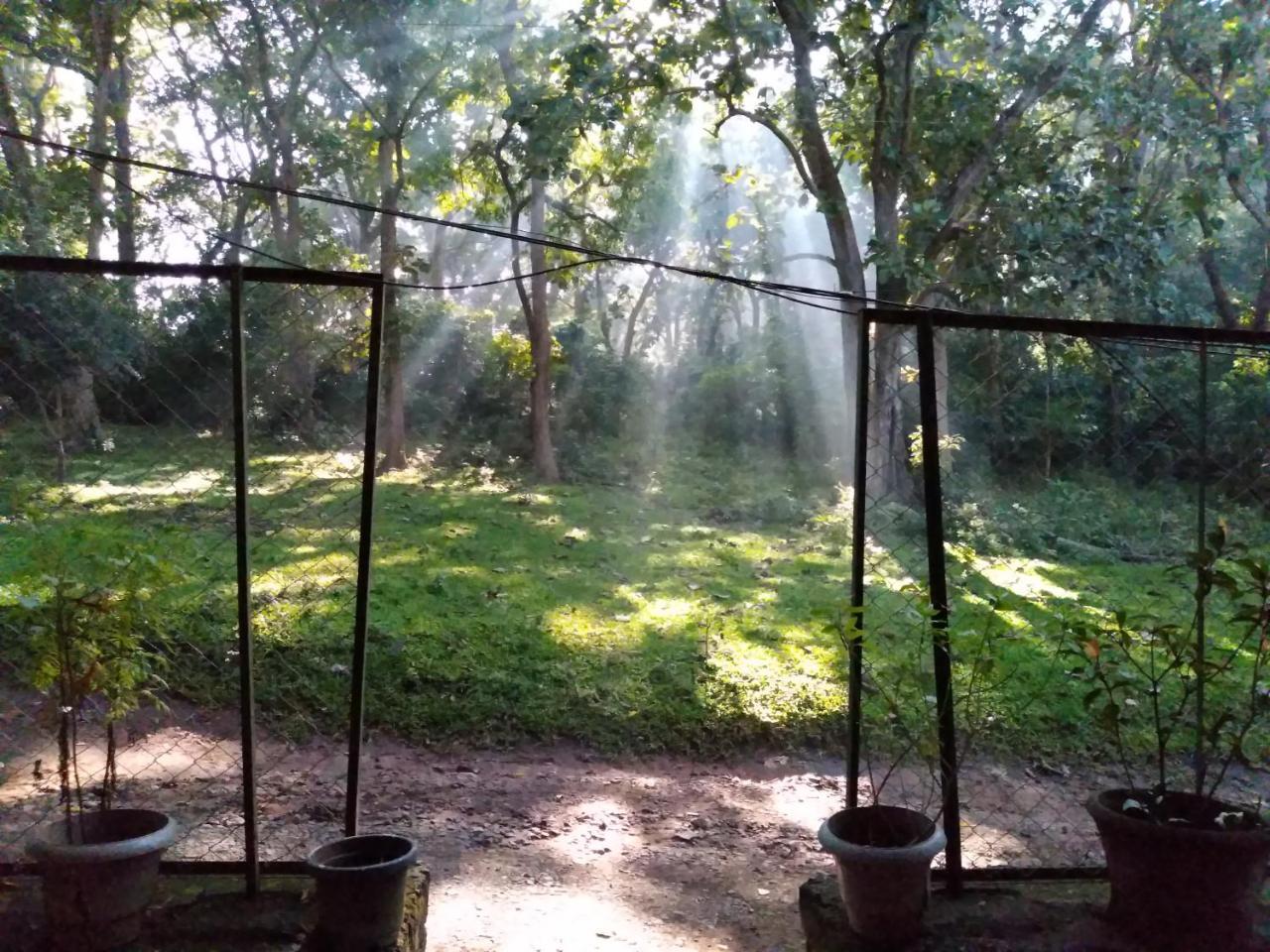 Wild Window - Forest View Homestay Thekkady Exteriér fotografie